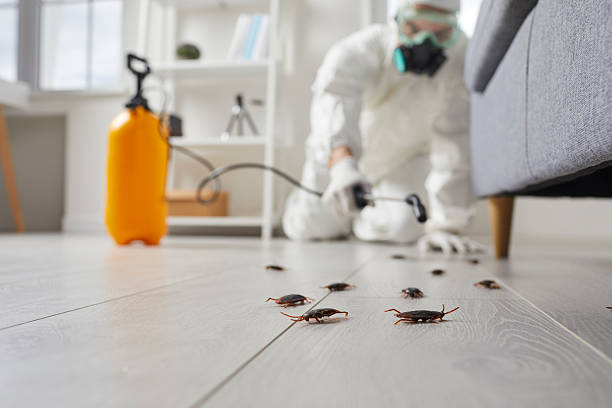 Commercial Kitchen Cockroach Control in Riverview